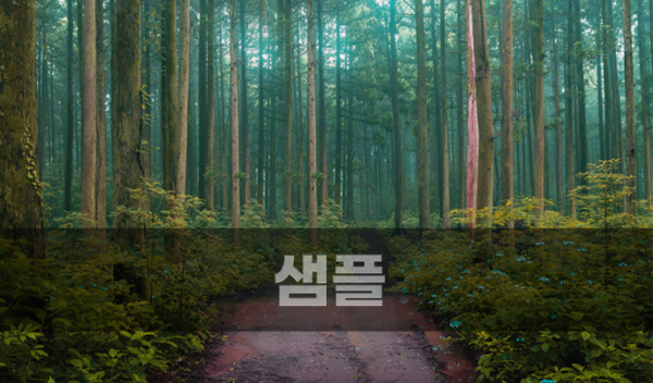 재해지원분류1