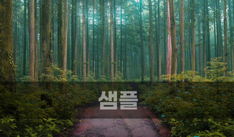 재해지원분류1