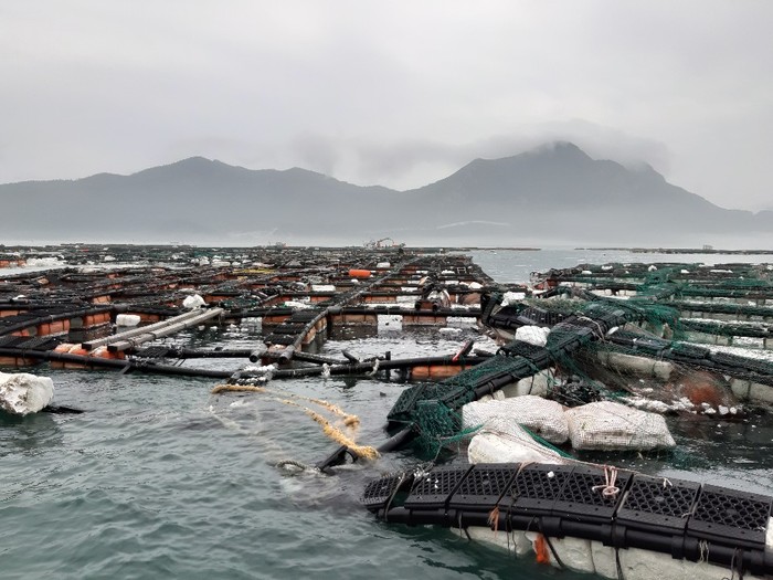 난마돌 태풍피해로 인한 재해지원